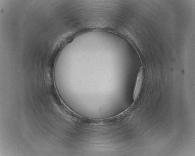 X0000074310688200609152007