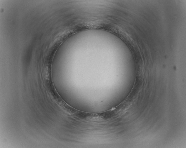 X0000074310689200609152007