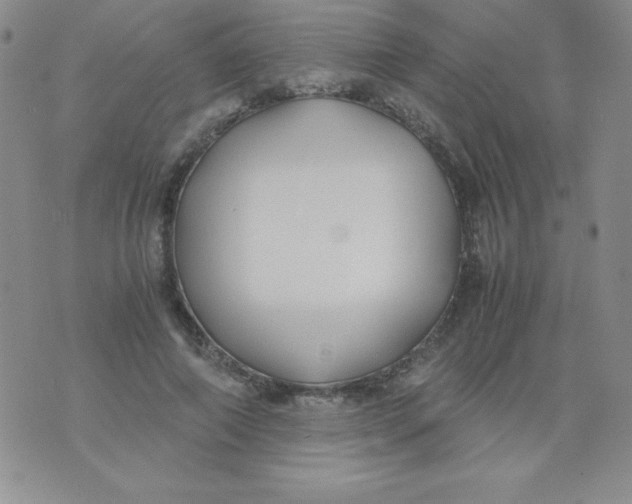 X0000074310690200609152007