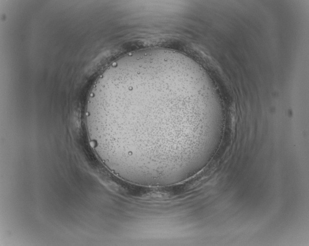 X0000074310691200609152007