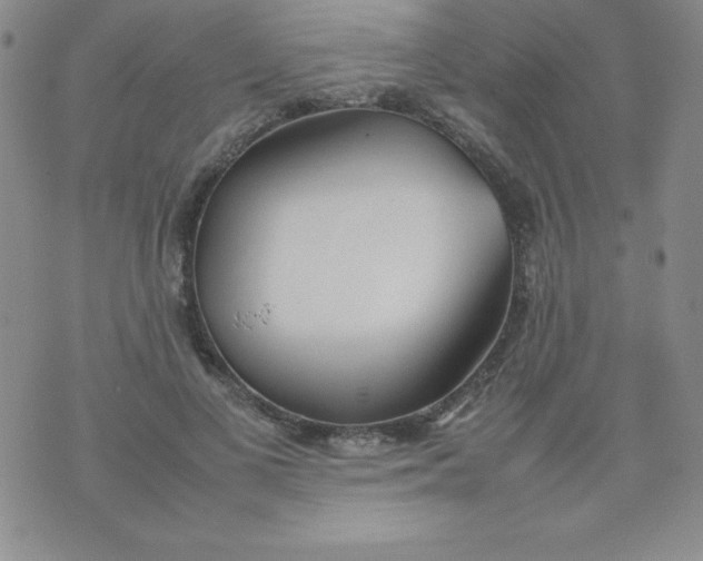 X0000074310693200609152007