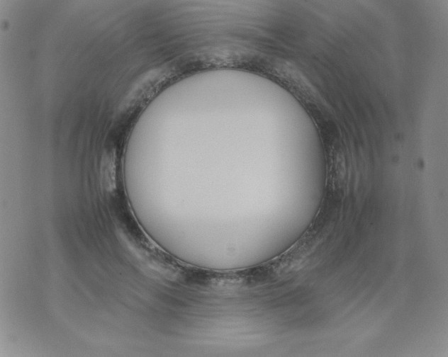 X0000074310694200609152007