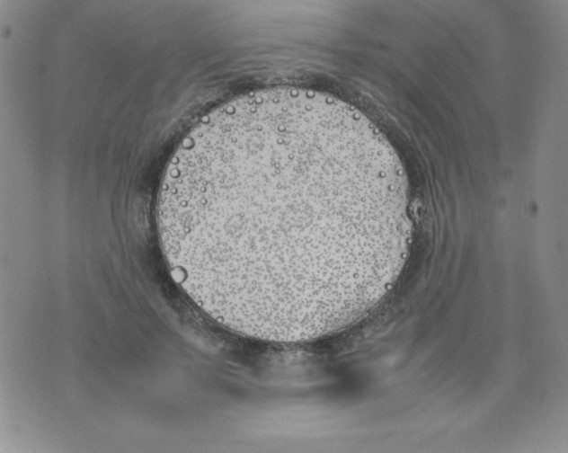 X0000074310695200609152007