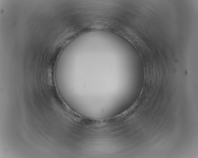 X0000074310696200609152007