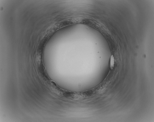 X0000074310697200609152007