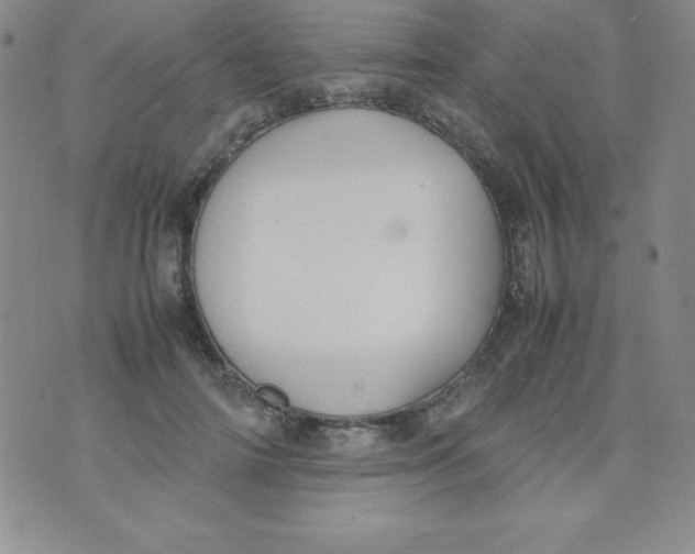 X0000074310698200609152007