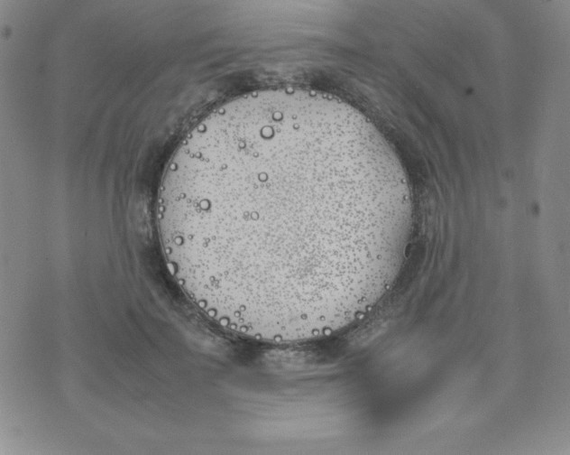 X0000074310699200609152007