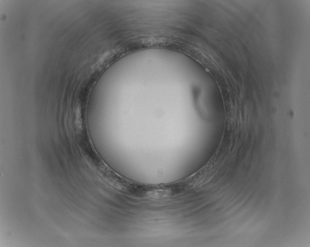 X0000074310700200609152007