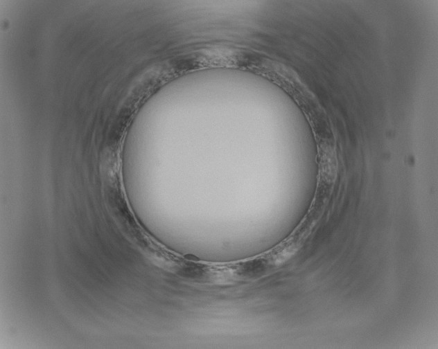 X0000074310701200609152007