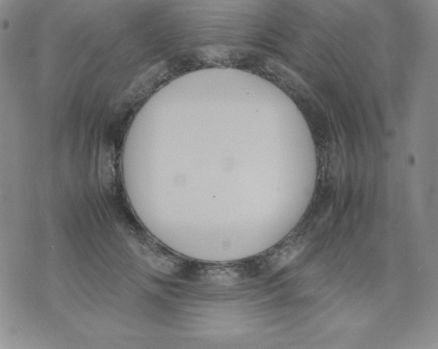 X0000074310702200609152007