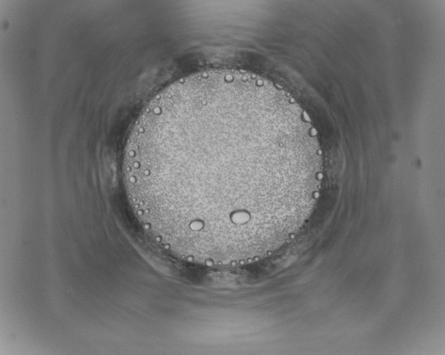 X0000074310703200609152007