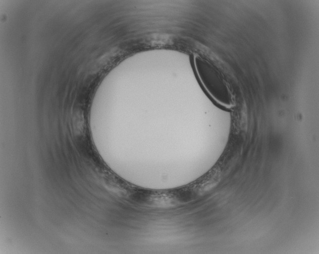 X0000074310704200609152007