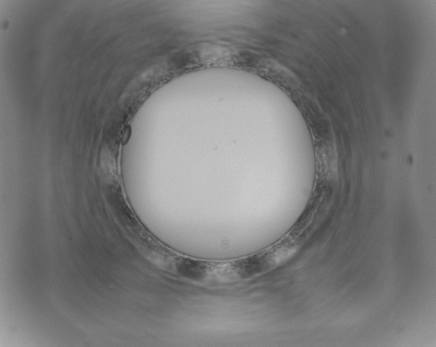 X0000074310705200609152007