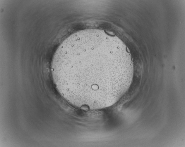 X0000074310707200609152007