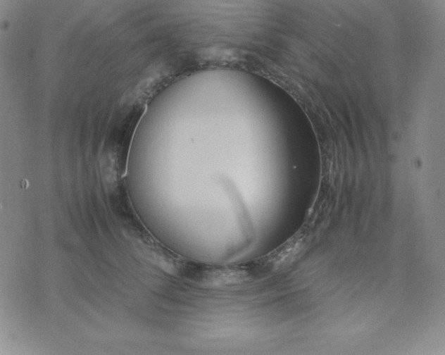 X0000074310708200609152007