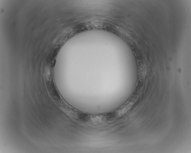 X0000074310709200609152007