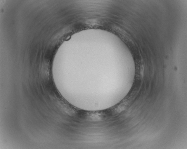 X0000074310710200609152007