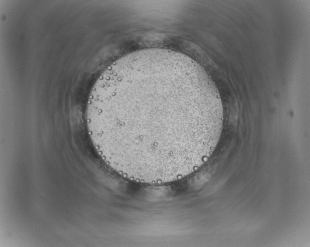 X0000074310711200609152007