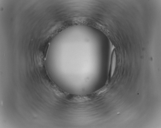 X0000074310712200609152007