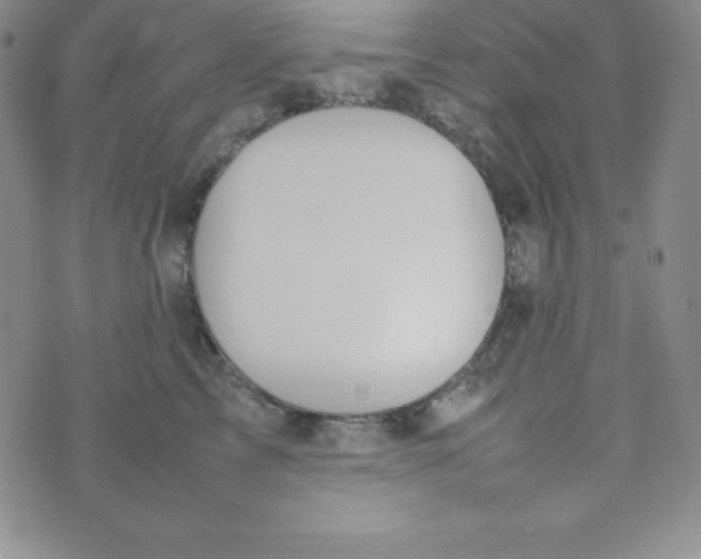 X0000074310713200609152007