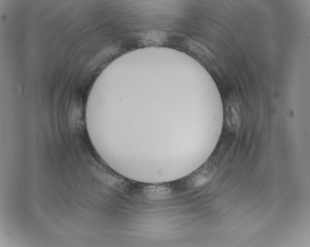 X0000074310714200609152007