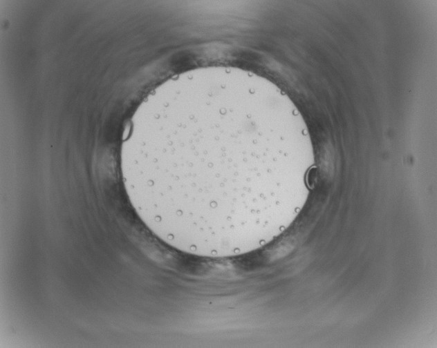 X0000074310715200609152007