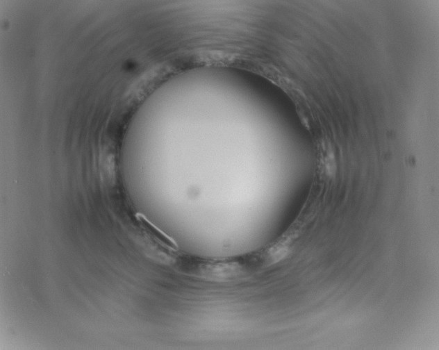 X0000074310716200609152007