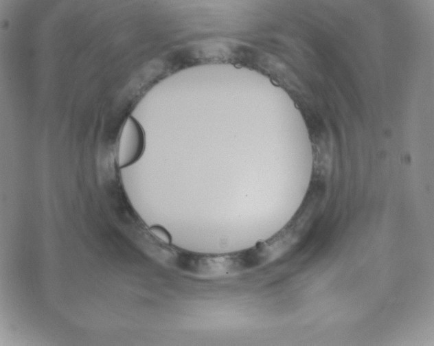 X0000074310717200609152007