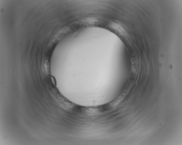 X0000074310718200609152007