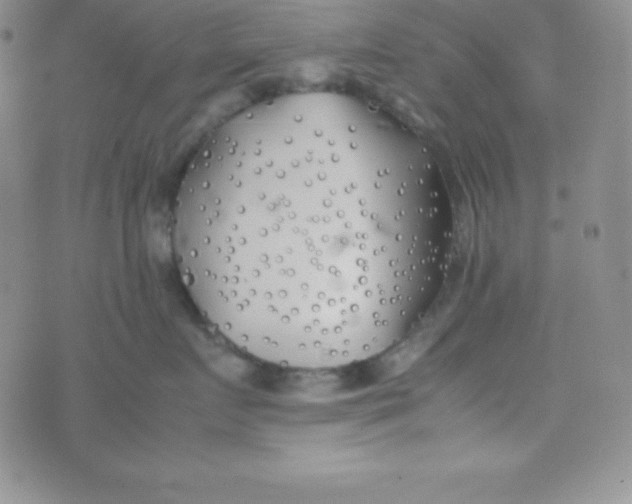 X0000074310719200609152007