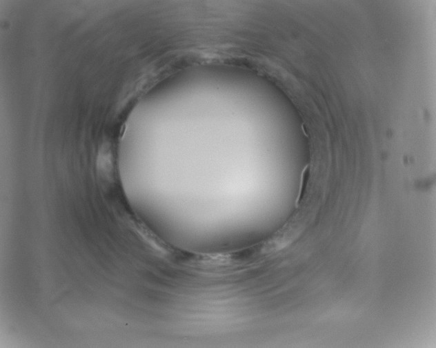 X0000074310720200609152007