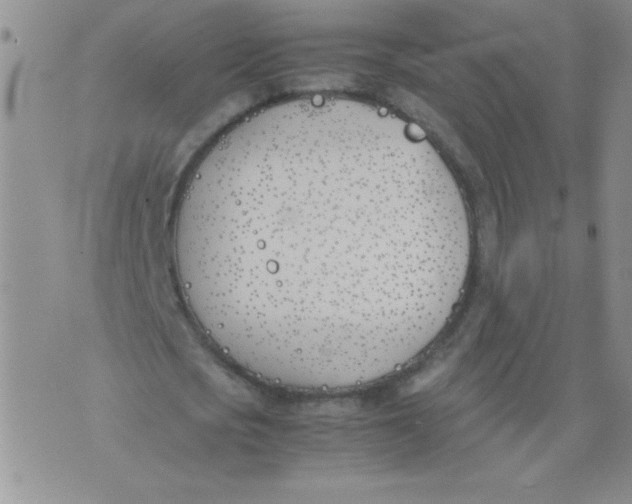 X0000074310721200609152006