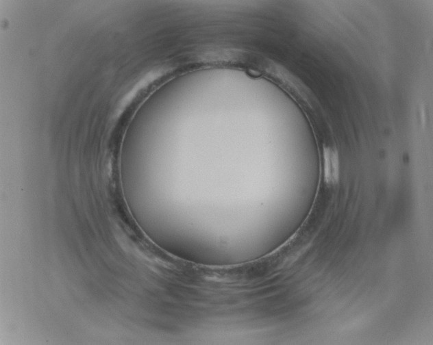 X0000074310723200609152006