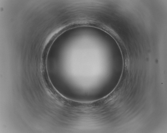 X0000074310724200609152006