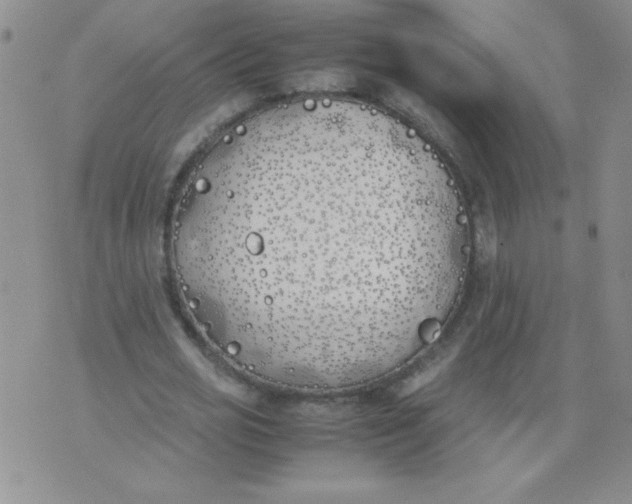 X0000074310725200609152006