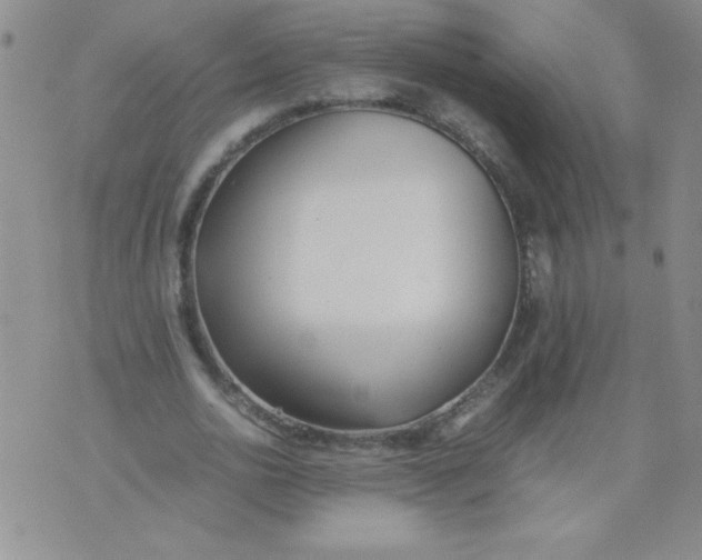 X0000074310726200609152006