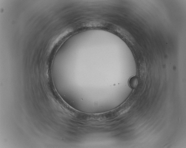 X0000074310727200609152006