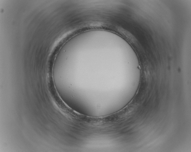 X0000074310728200609152006