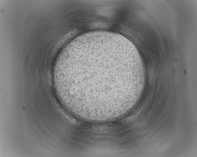 X0000074310729200609152006