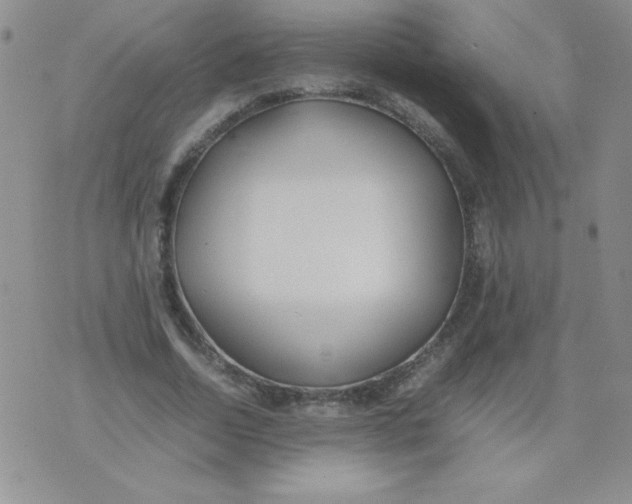 X0000074310730200609152006