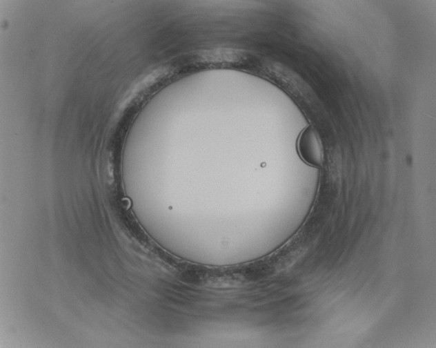 X0000074310731200609152006