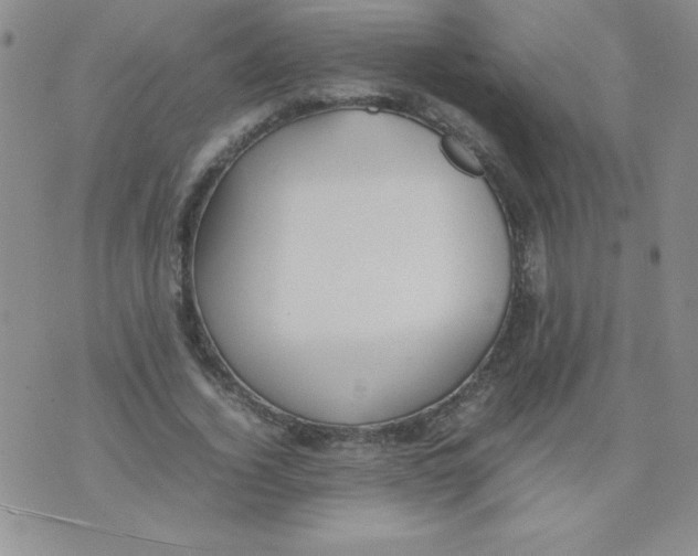 X0000074310732200609152006