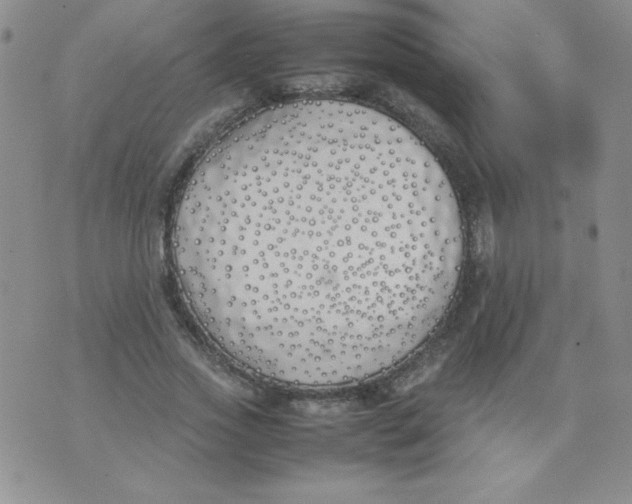 X0000074310733200609152006