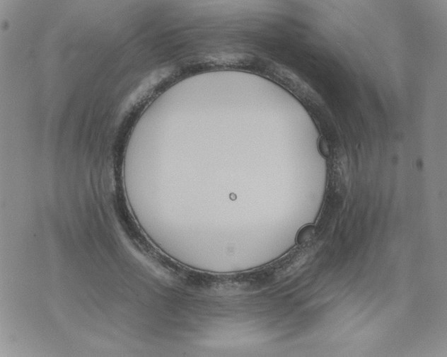 X0000074310734200609152006