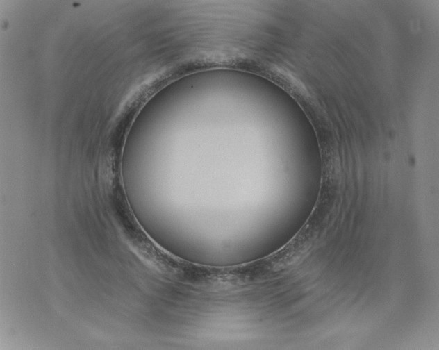 X0000074310736200609152006