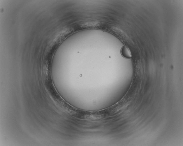 X0000074310739200609152006