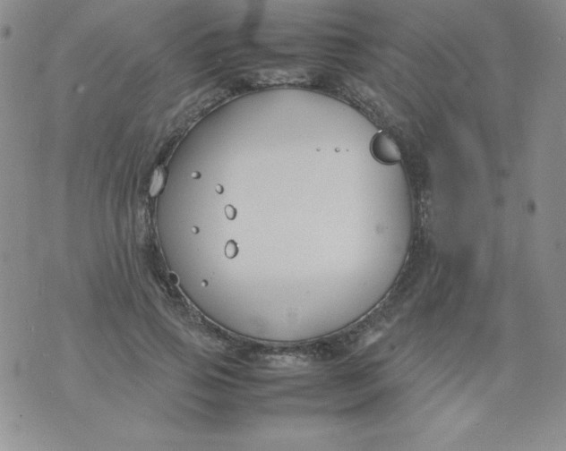 X0000074310741200609152006