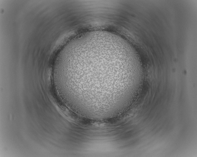 X0000074310742200609152006