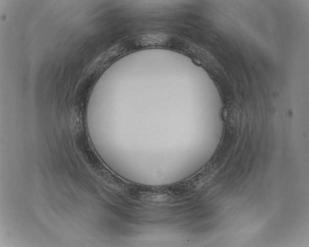 X0000074310743200609152006