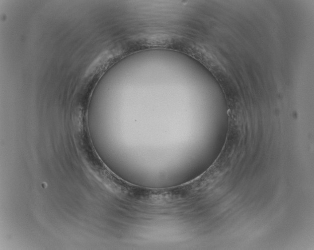 X0000074310744200609152006